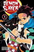 Demon Slayer Kimetsu No Yaiba VOL 1